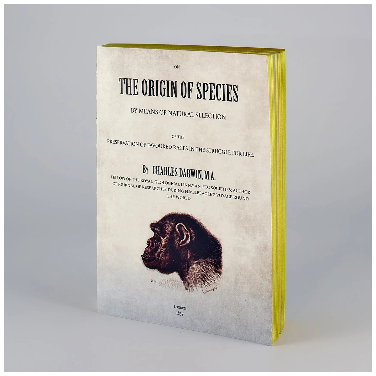 Libri muti The origin of species - Σημειωματάριο