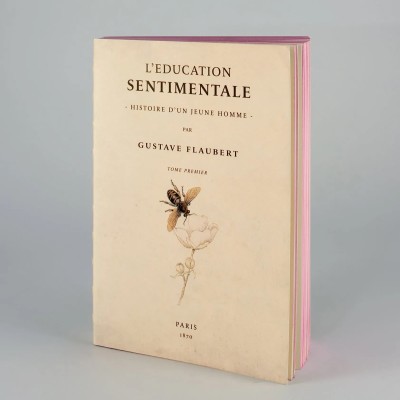 Libri muti L’éducation Sentimentale - Σημειωματάριο